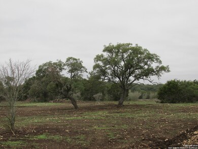3961 County Road 251, Hondo, TX 78861 - photo 2