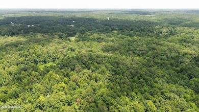 dji_fly_20250710_164116_423_175243808808