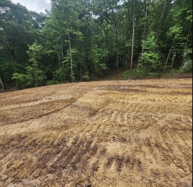 1023 Keith Salem Rd, Ringgold, GA 30736 - photo 6