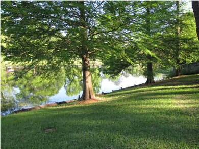 Beautiful lake view