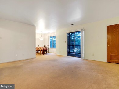 42 Maple St unit 3C, Mohnton, PA 19540 - photo 5