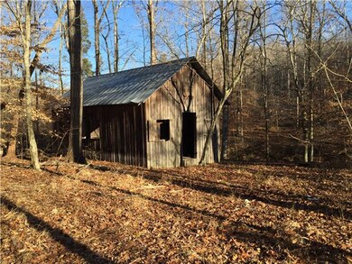 Old Cabin at back of property