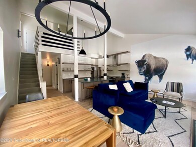 Bison LR wall and open kitchen