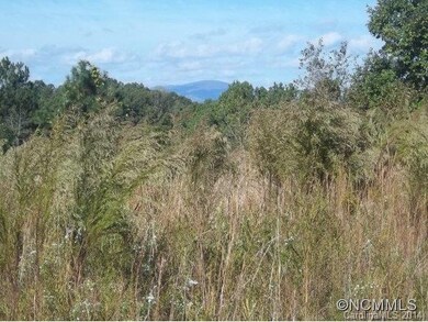 Mountain views from property