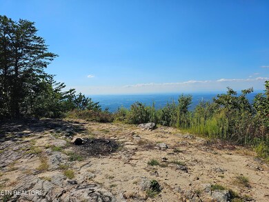 2820 Dupont Springs Rd, Sevierville, TN 37876 - photo 3