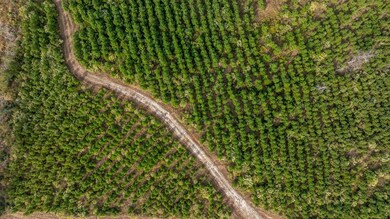 76.68 Fm 843, Nacogdoches, TX 75964 - photo 4