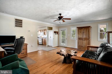 467 Noland Ridge Rd, Slanesville, WV 25444 - photo 6