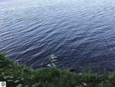 127 Lake St, Elk Rapids, MI 49629 - photo 5