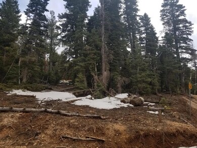 Nicely Wooded