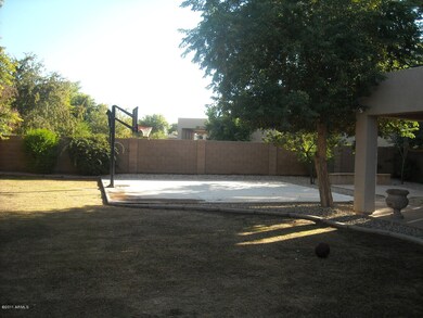 sport court / backyard