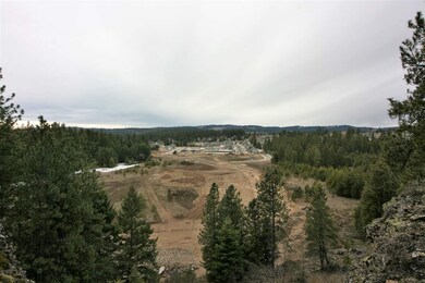 17220 N Nevada Ln, Colbert, WA 99005 - photo 6