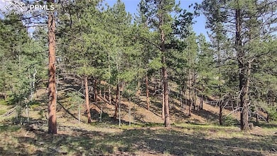 54 Garnet Way, Florissant, CO 80816 - photo 2