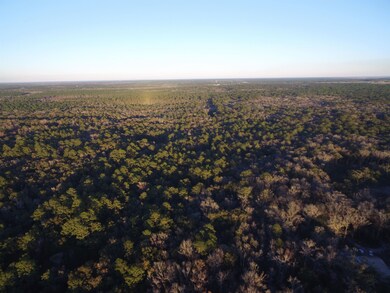 65 Simmie Dr, Crawfordville, FL 32327 - photo 4