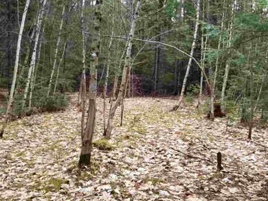 6 Sholan Rd, Thornton, NH 03285 - photo 3