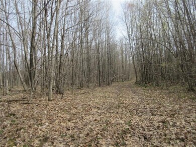 0 Z Rd unit 1530203, Chetek, WI 54728 - photo 3