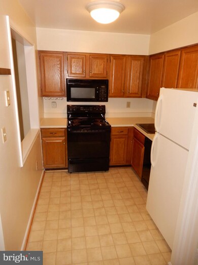 2528 Fairfax Dr unit B, Arlington, VA 22201 - photo 6