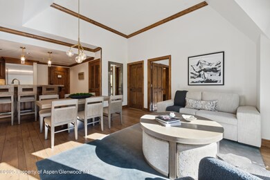 415 E Dean St unit 32- wk 6, Aspen, CO 81611 - photo 4