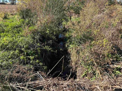 Parcel 4 Spring Saunders County Acreages County Rd, Yutan, NE 68073 - photo 7