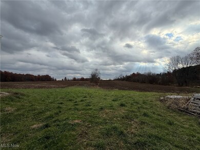 41635 Parsons Rd, La Grange, OH 44050 - photo 4