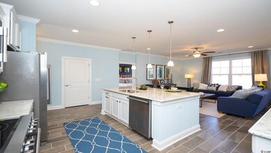 2692 Stellar Loop unit Lot 78 Belfort D, Myrtle Beach, SC 29577 - photo 5