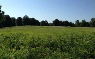 0 Bald Eagle Loop unit 96273, Lake City, FL 32025 - photo 2