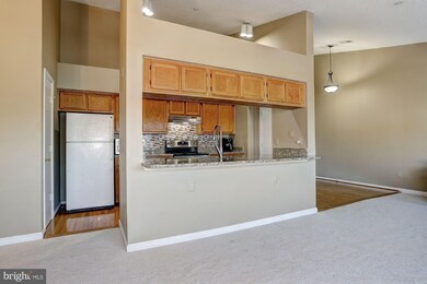 2701 Snowbird Terrace unit 916, Silver Spring, MD 20906 - photo 6