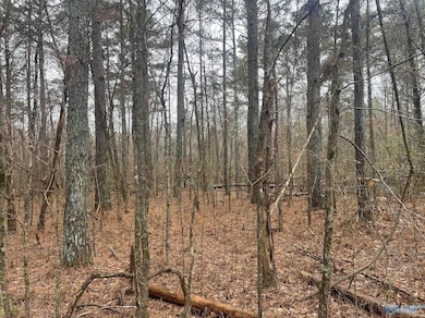 123 Hitt Rd, Decatur, AL 35603 - photo 5