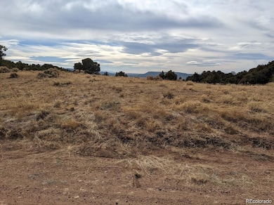 4389 Beekman Rd, Fort Garland, CO 81133 - photo 7