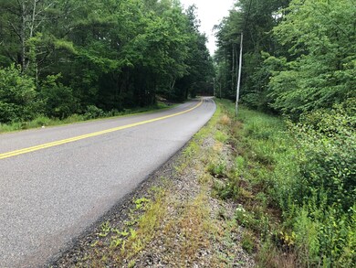 Logging Road