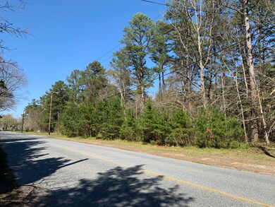 275 Otis Bog Rd, Little Egg Harbor Township, NJ 08087 - photo 2