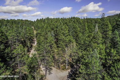 00 S Comstock Mine Rd, Prescott, AZ 86303 - photo 5