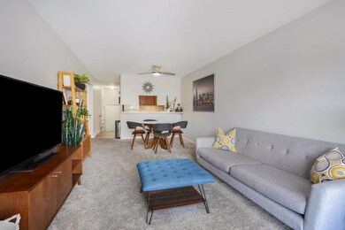 Open Living and Dining Area