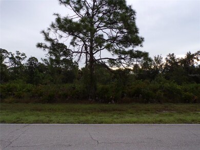 13212 Green Gulf Blvd, Punta Gorda, FL 33955 - photo 5