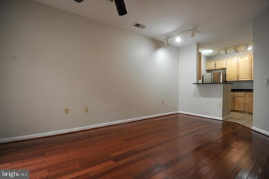 Silverton Condominiums, Silver Spring, MD 20910 - photo 3