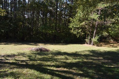 Back Lawn