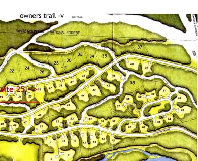 19 Hemlock Dr unit Homesite 25, Lincoln, NH 03251 - photo 7