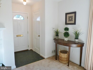 5009 Aurora Dr, Kensington, MD 20895 - photo 4