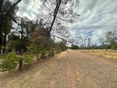 4733 Coyote Ln, Anderson, CA 96007 - photo 3