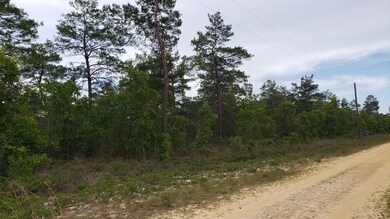 Private Wooded Lot
