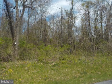 0 Township Line Rd, Bechtelsville, PA 19505 - photo 4