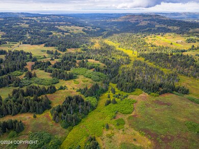 L11 Nka Crossman Ridge Ave, Homer, AK 99603 - photo 7