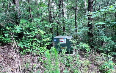 Additional View