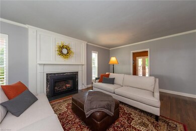 Living Room, Fireplace has New Gas Insert