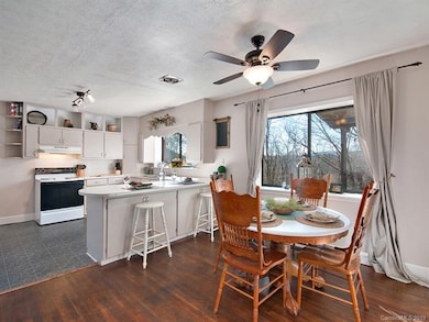 200 Azalea Woods Dr, Hendersonville, NC 28792 - photo 5