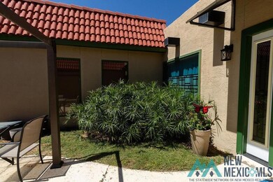 1502 Mountain Shadow Dr, Carlsbad, NM 88220 - photo 7