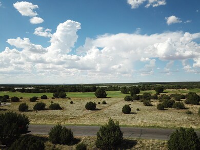 DJI_0001