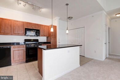 12900 Centre Park Cir unit 403, Herndon, VA 20171 - photo 6