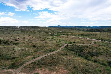 71 High Lonesome, Alpine, TX 79830 - photo 5