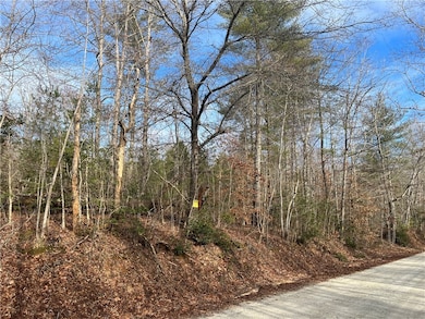View from Choehee Valley Rd side of the 3.41 acres