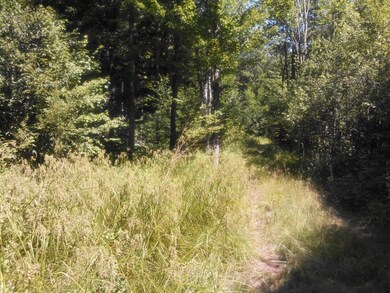 20160505142726770856000000-o